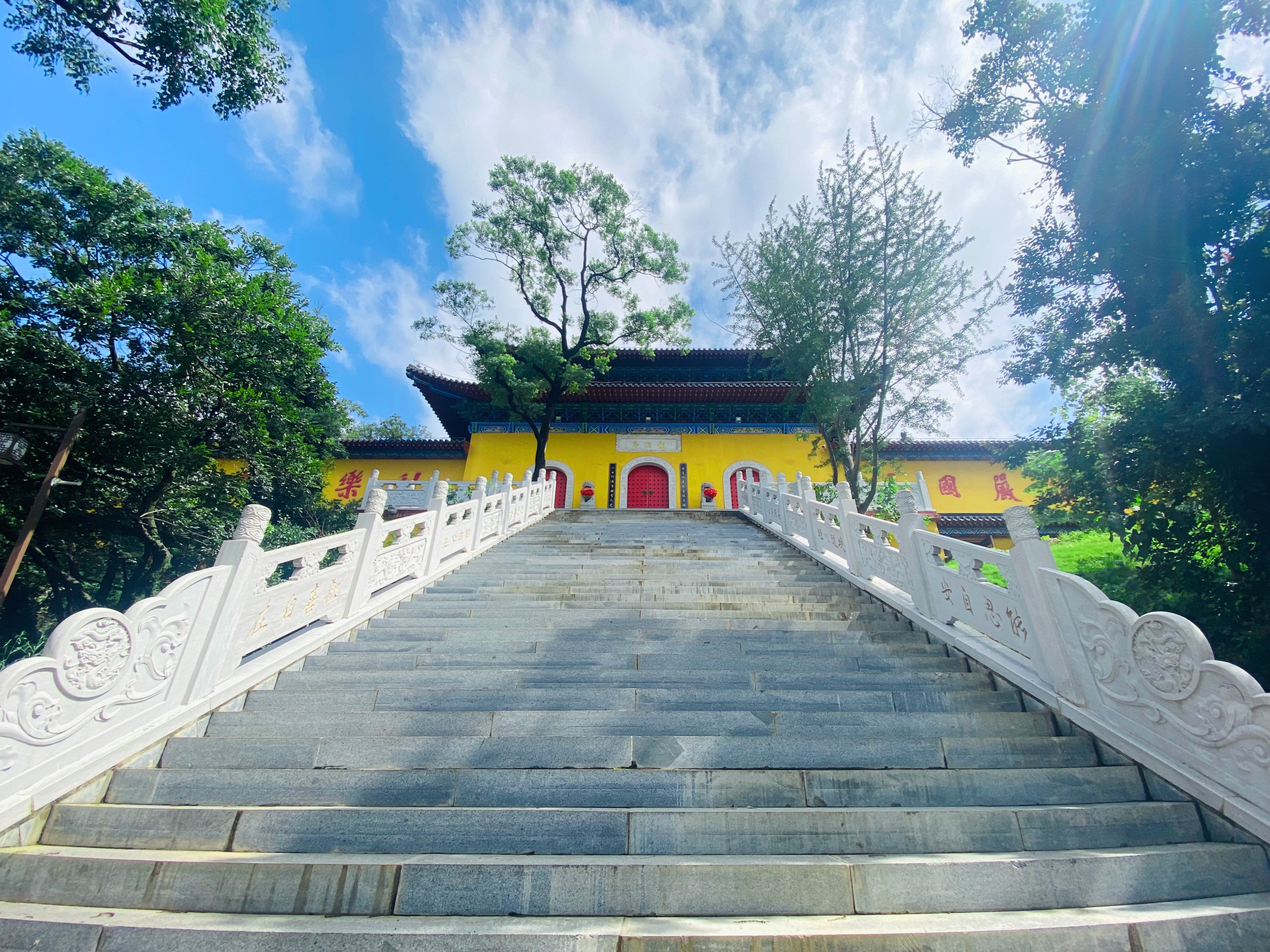 龙洞庵春