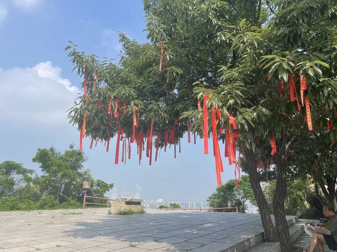 晚晴盛夏，赏乐七夕，来这里玩一把山盟海誓吧